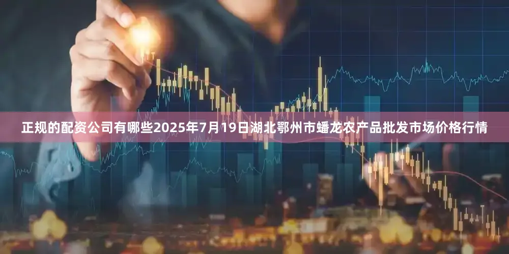 正规的配资公司有哪些2025年7月19日湖北鄂州市蟠龙农产品批发市场价格行情