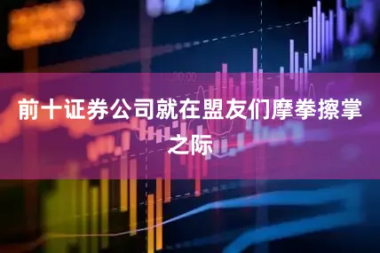 前十证券公司就在盟友们摩拳擦掌之际