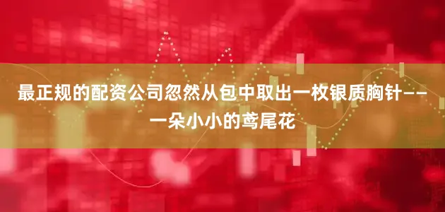 最正规的配资公司忽然从包中取出一枚银质胸针——一朵小小的鸢尾花
